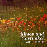 Cry Little Boy Cry - Simon & Garfunkel