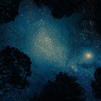Guided Meditation