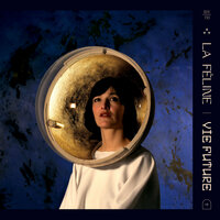 Effet de nuit - La Féline