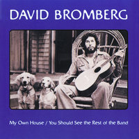 Black And Tan - David Bromberg