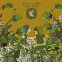 Lady Memphis - Johnathan Rice