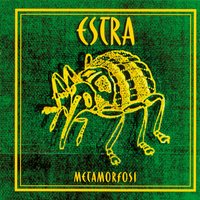 Intimo - Estra