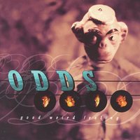 Break the Bed - Odds
