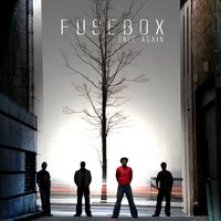 I'm Yours - Fusebox