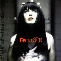 Not What It Seems - Feline