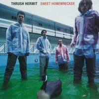 I'm Sorry If Your Heart Has No Room - Thrush Hermit