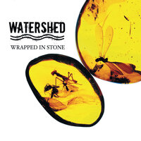 Don't Go Changing - Watershed