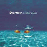 Gotta Believe It - Overflow