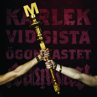 Kärlek vid sista ögonkastet - Maskinen