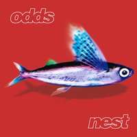 Nothing Beautiful - Odds