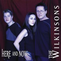Don't Look at Me Like That - The Wilkinsons