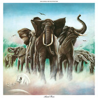 Chemistry Class - Elvis Costello, The Attractions