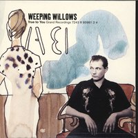 True To You - Weeping Willows