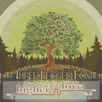 Three Legged Fox