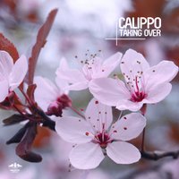 Need a Friend - Calippo