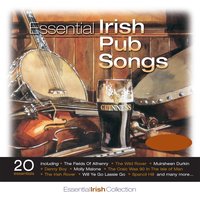 The Rare Oul Times - Jim McCann