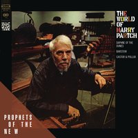 Surrogate Kithara - Harry Partch