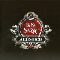 Sem Você - Rosa de Saron