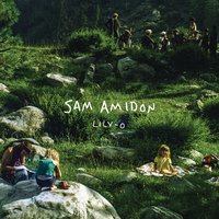 Pat Do This, Pat Do That - Sam Amidon