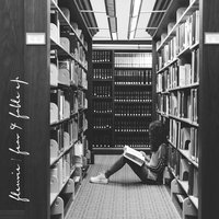 All the Lines - Fleurie