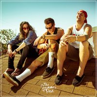 Step Right Up - Radical Something