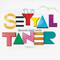 Hadi Git - Seyyal Taner