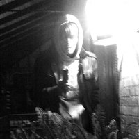 Heavenly Metals - Cold Cave