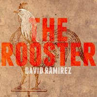The Bad Days - David Ramírez