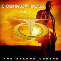 Hold It Down - Tq