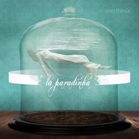 Apothecary Armchair - Anesthesia