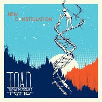 Is There Anyone out There - Toad The Wet Sprocket