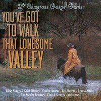 What Would You Give in Exchange for Your Soul - Bill Monroe