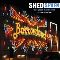 Dolphin - Shed Seven