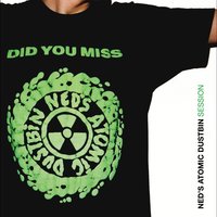 Song Eleven Could Take Forever - Ned's Atomic Dustbin