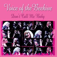 There's A Barbarian In The Back Of My Car - Voice of the Beehive