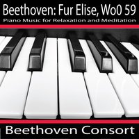 Nocturne - Beethoven Consort