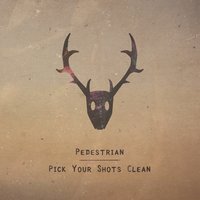 Pedestrian