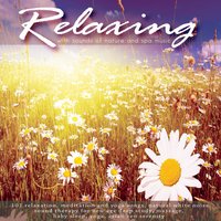 White Noise Machine: A Lite Sleep Pillow Ambiance - Relaxing With Sounds of Nature and Spa Music Natural White Noise Sound Therapy