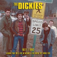 I'm Stuck in a Pagoda With) Tricia Toyota - The Dickies