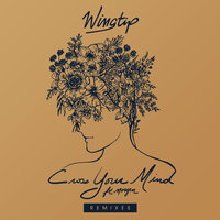 Cross Your Mind - Wingtip, morgxn, Prince Fox