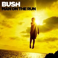 Dangerous Love - Bush, Jay Baumgardner