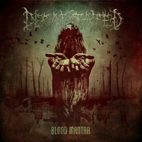 Moth Defect - Decapitated