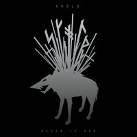 This is the End - Skold