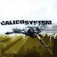 It's Fair to Say - Calico System
