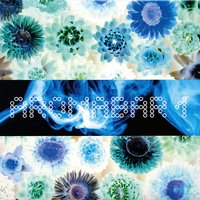 Winter Pageant - Aromabar