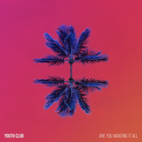 Are You Wanting It All - Youth Club