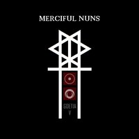 Moving Through Still Times - Merciful Nuns