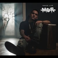 The Wild - Omar LinX