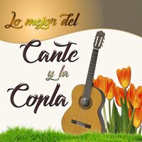 La Salvaora - Caracol