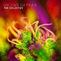 Talking in Your Sleep - Groove Da Praia, Ituana